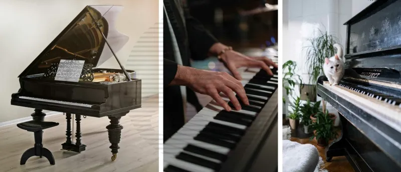 2. Welke Soorten Piano's zijn er en Welke is het Beste voor Beginners 2. Welke Soorten Piano's zijn er en Welke is het Beste voor Beginners