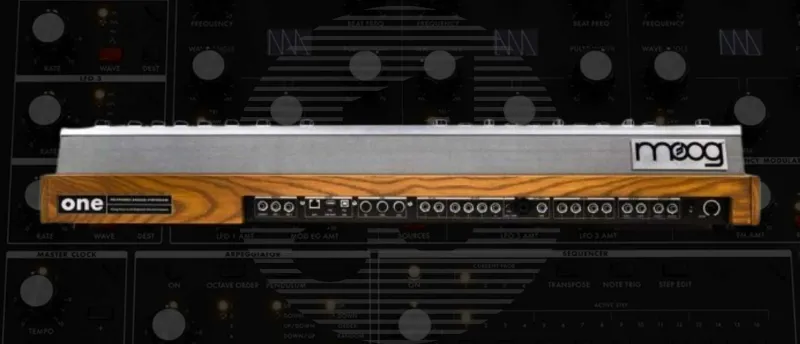 Achterzijde met aansluitingen van de Moog ONE Achterzijde met aansluitingen van de Moog ONE