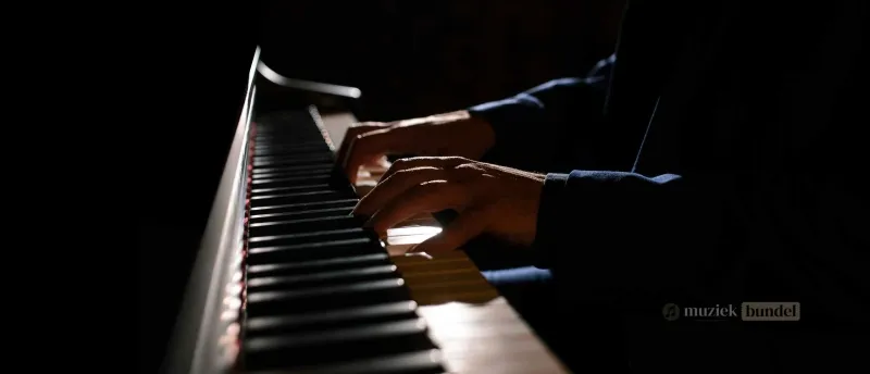 Alternatieven voor de Yamaha P-225 - Vergelijkbare Digitale Piano’s | Muziekbundel Vergelijkbare digitale piano’s als alternatief voor de Yamaha P-225.