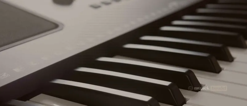 Alternatieven voor de Yamaha PSR-SX900 - Muziekbundel Overzicht van alternatieve keyboards voor de Yamaha PSR-SX900
