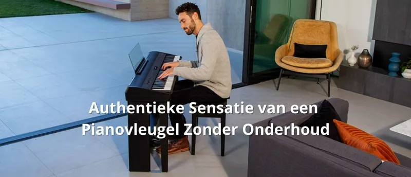 Authentieke sensatie van een pianovleugel zonder onderhoud Authentieke sensatie van een pianovleugel zonder onderhoud