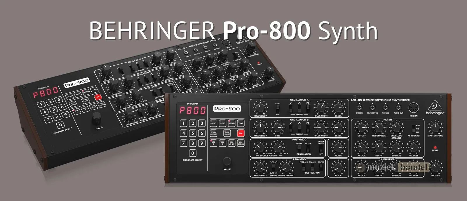 Behringer Pro-800 Synth Review: Analoge krachtpatser voor een betaalbare prijs
