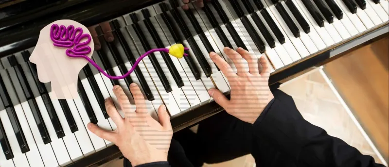 Het effect van piano spelen op de hersenen Het effect van piano spelen op de hersenen