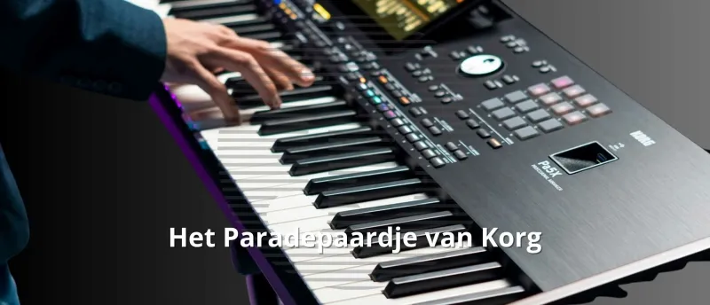 Het paradepaardje van Korg Het paradepaardje van Korg