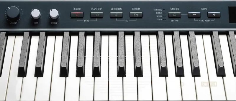 Het Speelgevoel en de Toetsen van de Kurzweil KaP1 | Muziekbundel.nl Gewogen toetsen van de Kurzweil KaP1 voor een authentieke speelervaring.
