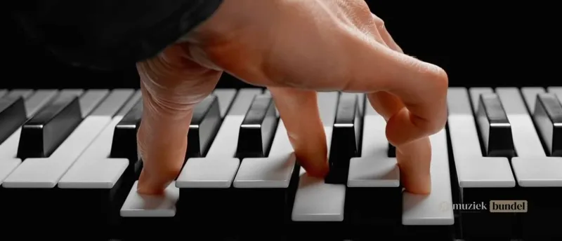 Innovatieve Speeltechnieken van de Expressive E Osmose | Muziekbundel.nl Unieke speeltechnieken en expressieve mogelijkheden van de Expressive E Osmose synthesizer