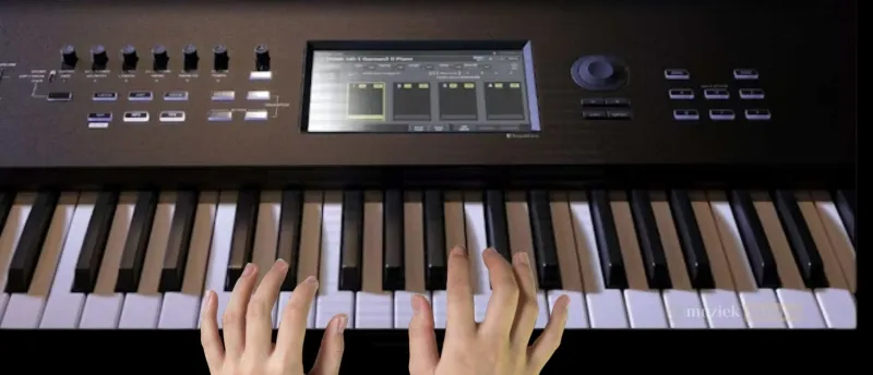 Is de Korg Nautilus 61 Toetsen Workstation Geschikt voor Beginners? | Muziekbundel.nl Geschiktheid van de Korg Nautilus 61 toetsen workstation voor beginners en ervaren gebruikers?