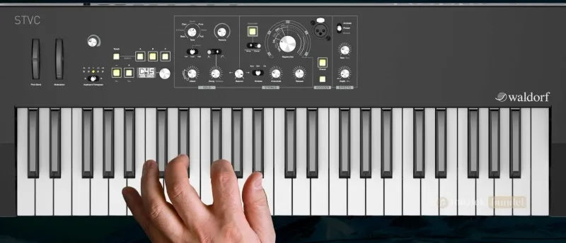 Is de Waldorf STVC geschikt voor beginners | Muziekbundel.nl Beoordeling van de geschiktheid van de Waldorf STVC string synthesizer en vocoder voor beginnende muzikanten en producers.