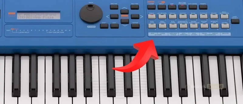 Middenklasse Synthesizer met een Indrukwekkende Bibliotheek aan klanken | Muziekbundel.nl Een middenklasse synthesizer met een uitgebreide bibliotheek aan hoogwaardige klanken, geschikt voor diverse muziekstijlen.
