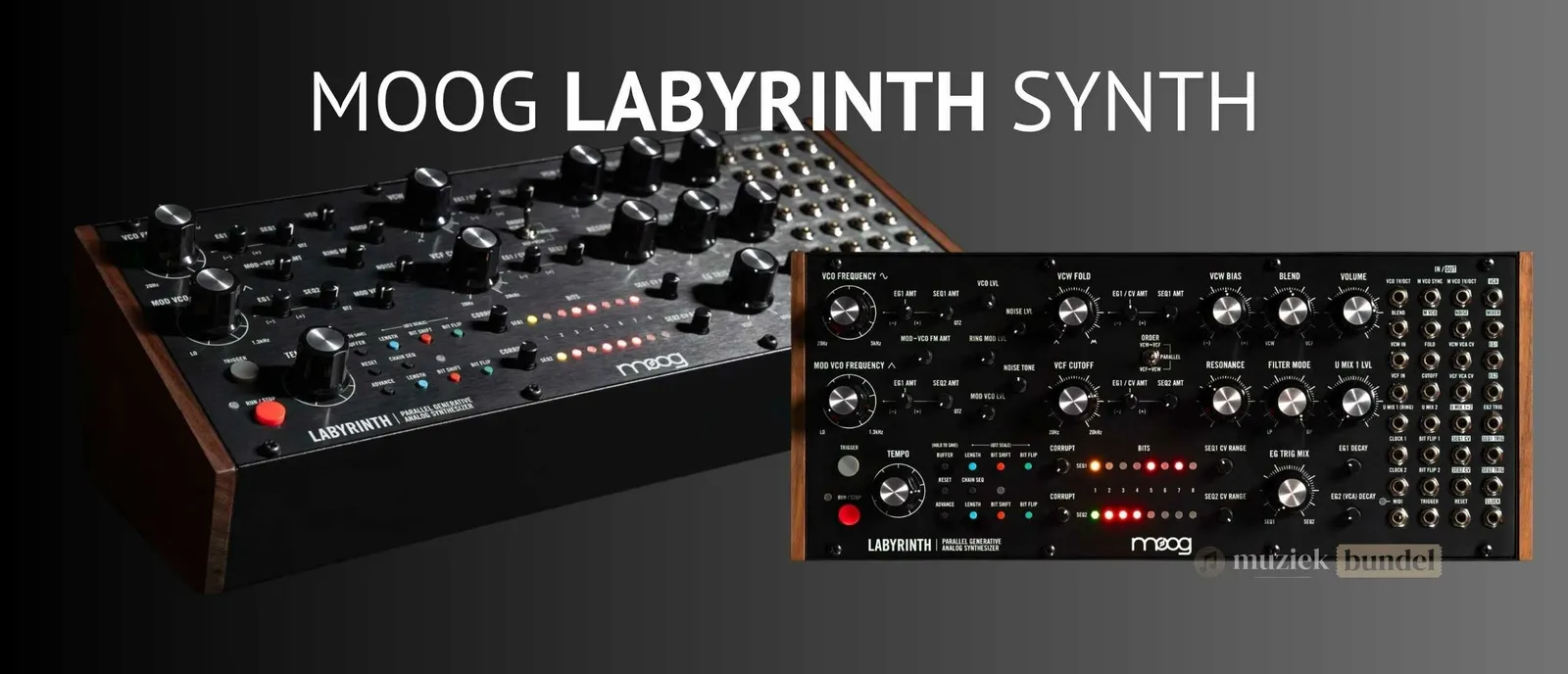 Moog Labyrinth Review: West Coast Synthese Ontmoet Generatieve Sequencing