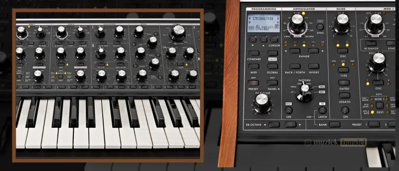 Moog Subsequent 37: Ontwerp en Geluid Engine - Muziekbundel.nl Details van het ontwerp en de geluid engine van de Moog Subsequent 37 synthesizer