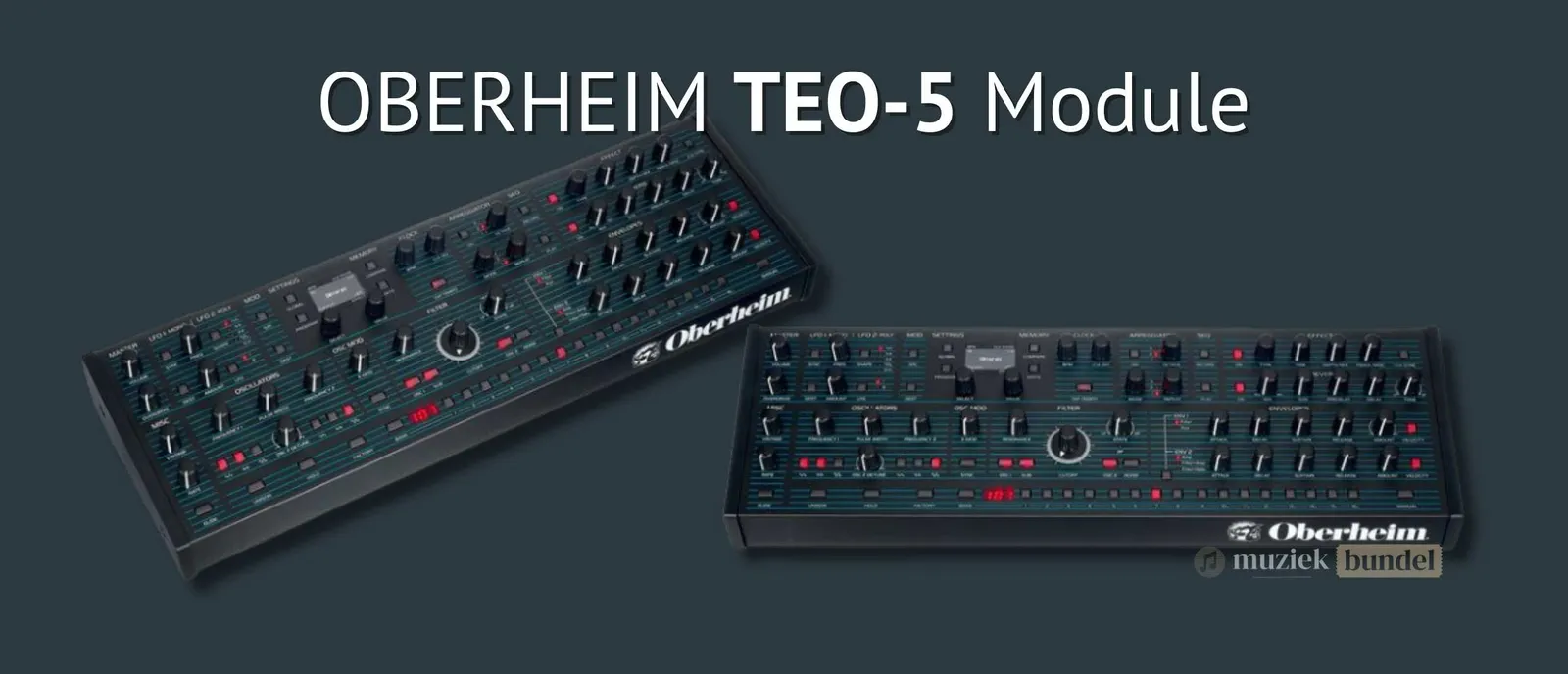 Oberheim TEO-5 Desktop Module Review: compacte Oberheim-klank zonder toetsen