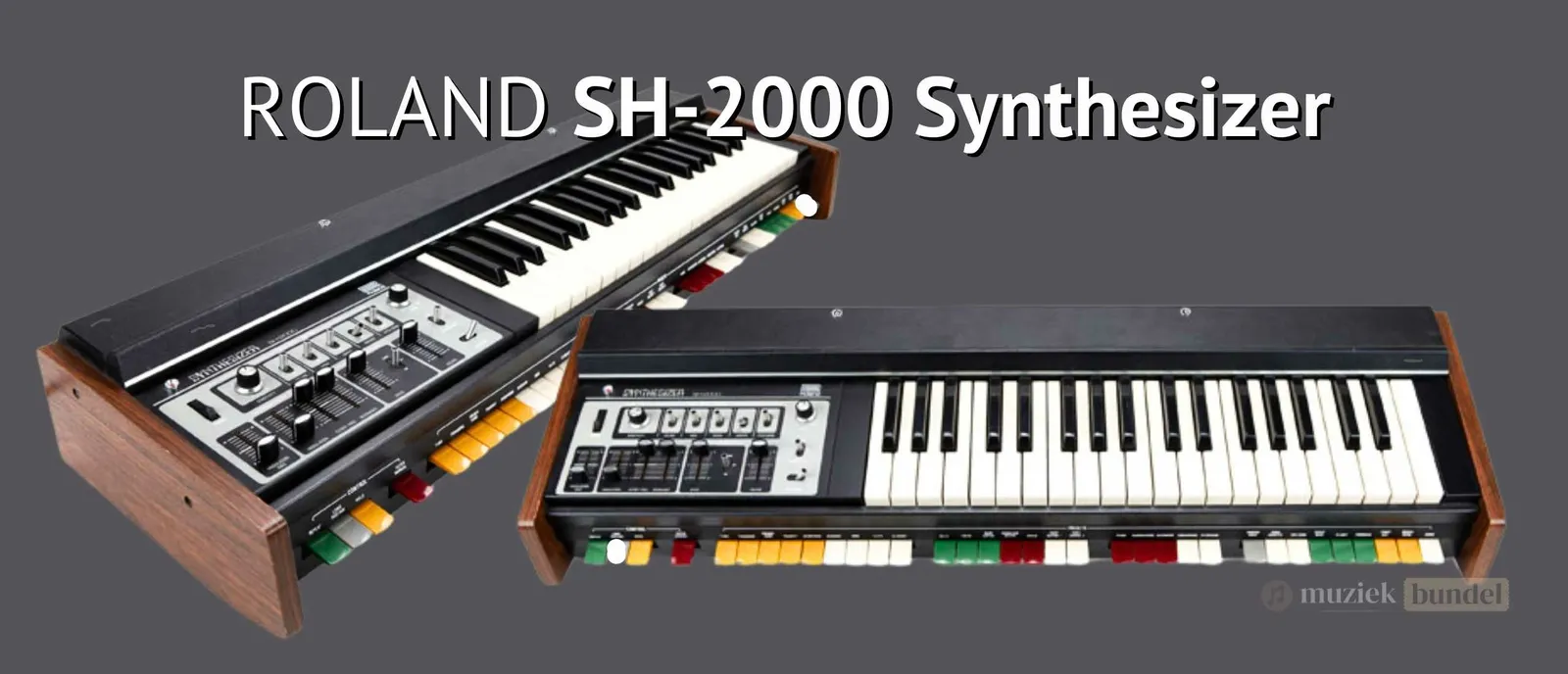 Roland SH-2000: Eenvoudige Synthesizer met een Rijke Klank uit Jaren '70