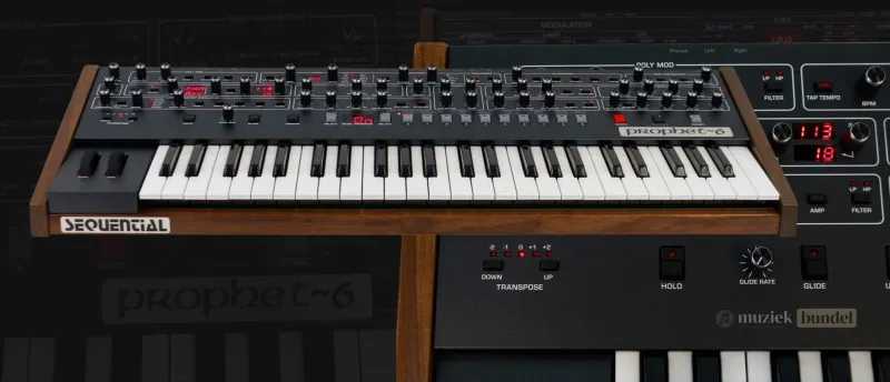 Sequential Prophet-6 synthesizer | Muziekbundel.nl Sequential Prophet-6 analoge synthesizer met klassieke klank