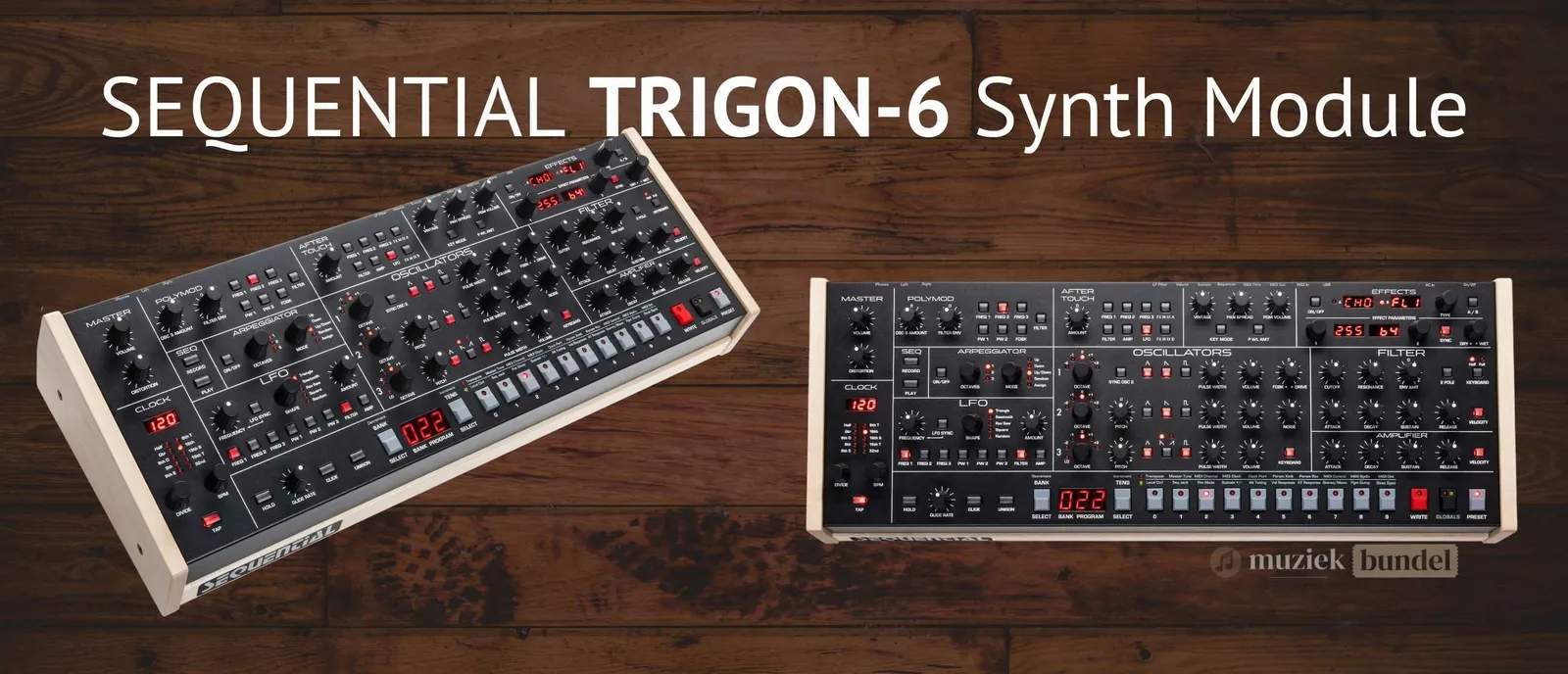 Sequential Trigon-6 Module Synthesizer - Krachtige Vintage Sound in een Compacte Module