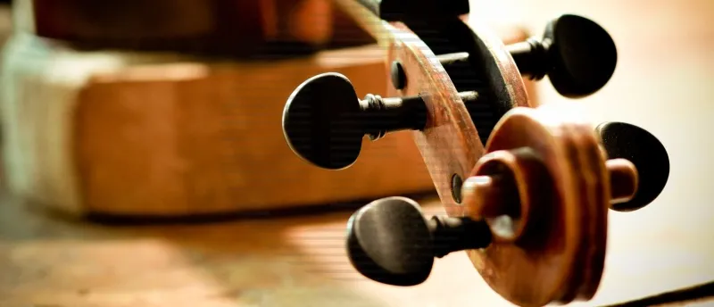 Snaarinstrumenten Snaarinstrumenten