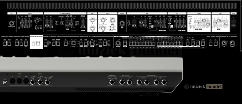 Specificaties van de UDO Audio Super 8 – Volledige Technische Details | Muziekbundel.nl Bekijk de volledige specificaties van de UDO Audio Super 8. Ontdek alle details over polyfonie, oscillatoren, filters, effecten en aansluitingen.