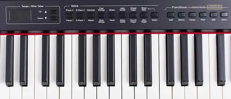 Speelervaring voor Beginners en Gevorderden | Orla Stage Studio | Muziekbundel.nl Ervaar de Orla Stage Studio, een digitale piano met gewogen toetsen en dynamische aanslag, geschikt voor zowel beginners als gevorderde pianisten.