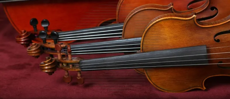Strijkinstrumenten Strijkinstrumenten