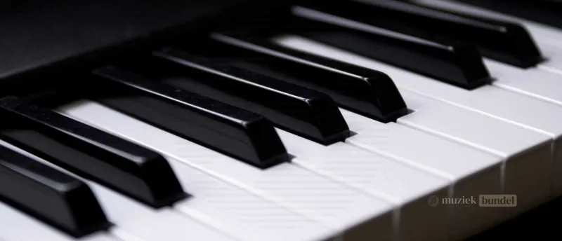 Vergelijkbare Alternatieven voor de Kawai ES-Serie | Muziekbundel.nl Vergelijkbare alternatieven voor de Kawai ES-serie digitale piano's, zoals de Yamaha P-serie en Roland FP-serie