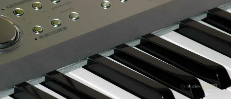 Vergelijking met Andere Digitale Piano's – NUX NPK-20 op Muziekbundel.nl Vergelijking van de NUX NPK-20 met andere digitale piano's