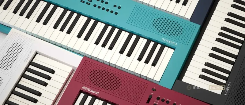 Vergelijking tussen de Roland GO KEYS 5 en de GO KEYS 3 | Muziekbundel.nl Belangrijkste verschillen tussen de Roland GO KEYS 5 en GO KEYS 3 uitgelegd.