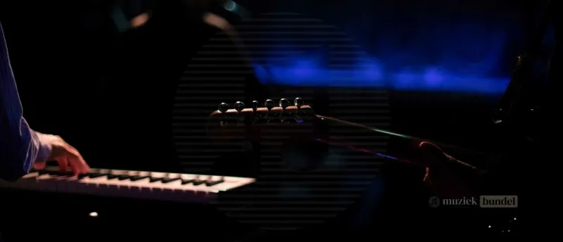 Waarom de Medeli AKX10 Minder Populair Is bij Optredens of Studio’s - Muziekbundel.nl Analyse van waarom de Medeli AKX10 minder wordt gebruikt in live-optredens en studio’s.