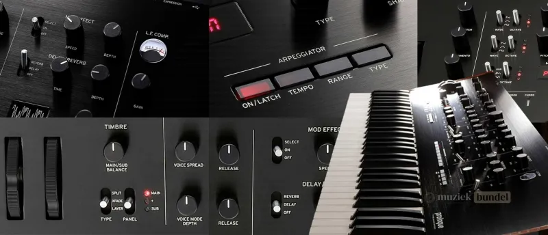 Waarom kiezen voor de Korg Prologue 16 | Muziekbundel.nl Voordelen en unieke kenmerken van de Korg Prologue 16 als professionele synthesizer