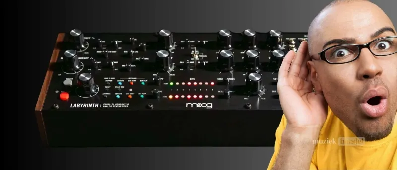 Wat Vinden Gebruikers van de Moog Labyrinth? | Muziekbundel.nl Wat Vinden Gebruikers van de Moog Labyrinth? | Muziekbundel.nl
