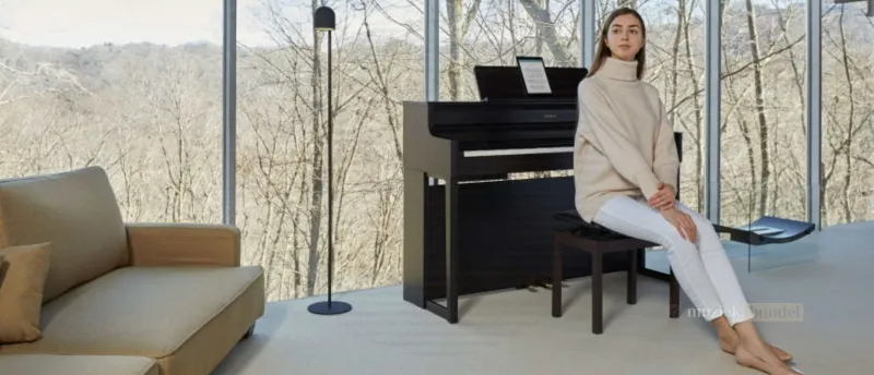Wat vinden gebruikers van de Roland HP702 Digitale Piano? Ervaringen en Beoordelingen - Muziekbundel.nl Gebruikers zijn positief over de Roland HP702 Digitale Piano vanwege zijn SuperNATURAL technologie, stijlvolle ontwerp en de PHA-4 Standard-toetsen, die zorgen voor een realistische speelervaring.