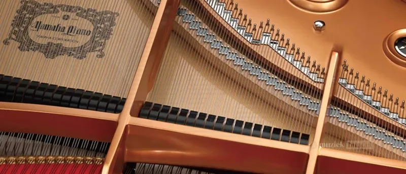 Yamaha P-225 - CFX Concertvleugelklank en VRM Lite voor Authentieke Klankervaring | Muziekbundel Yamaha P-225 digitale piano met CFX concertvleugelklank en VRM Lite-technologie voor rijke, expressieve klanken